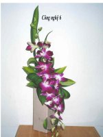 Bài trang trí nhà ở bằng cây cảnh và hoa công nghệ 6 