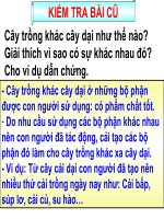 đáp án gợi y thi tim hieu lich su viet nam 