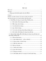 Luận văn nâng cao chất lượng tín dụng trung dài hạn MHB Đắk Lắk