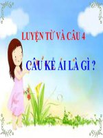 Câu kể ai là gì LTVC lớp 4 số 17 