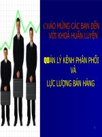 Bài Giảng Quản Lý Kênh Phân Phối Và Lực Lượng Bán Hàng