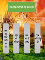 CÁC PHƯƠNG PHÁP CHỌN MẪU NGẪU NHIÊN