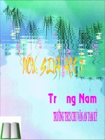 Bài 25  nhện và sự đa dạng của lớp hình nhện   sinh học 7 