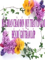 Các nước châu phi và mĩ latinh   lịch sử 12 