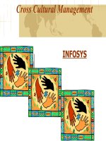 Cross Cultural Management