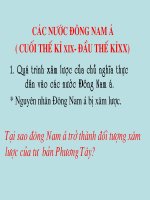 TIẾT 4,5 các nước ĐÔNG NAM á từ CUỐI THẾ kỉ THỨ 19 đến đầu THẾ kỉ 20 TIẾT 2 