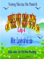 Luyện tập về câu hỏi LTVC lớp 4 số 1 
