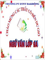 Bài 6 chị em thúy kiều   ngữ văn 9 