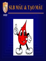 Bài Giảng Sinh Lý Bệnh Máu Và Tạo Máu
