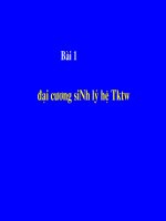 Sinh Lý Hệ Thần Kinh Trung Ương