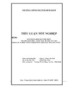 Tiểu luận Xây dựng đội ngũ trí thức ngành giáo dục –đào tạo huyện An Lão trong sự nghiệp công nghiệp hóa ,hiện đại hóa đất nước