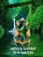 Câu kể ai làm gì LTVC lớp 4 số 1 