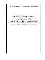 Chương trình dạy nghề trình độ sơ cấp nghề đánh bắt hải sản bằng lưới rê 