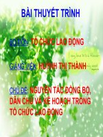 Bài Thuyết Trình Nguyên Tắc Đồng Bộ, Dân Chủ Và Kế Hoạch Trong Tổ Chức Lao Động