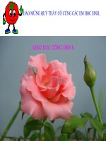 Bài sống chan hoà với mọi người giáo dục công dân 6 