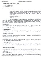 10 điều sếp cần ở nhân viên   cẩm nang nghề nghiệp 