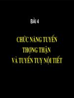 Bài Giảng Chức Năng Tuyến Thượng Thận Và Tuyến Tụy Nội Tiết
