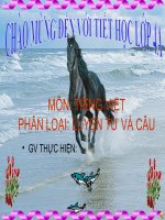 Chủ ngữ trong câu kể ai là gì LTVC lớp 4 số 10 