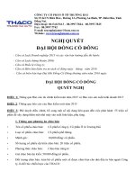NGHI QUYET DAI HOI DONG CO DONG THACO 