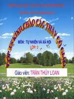 Hoạt động công nghiệp, thương mại TNXH lớp 3 số 3 