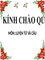 Luyện tập về câu kể ai là gì LTVC lớp 4 số 2 