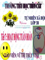 Hoạt động tuần hoàn TNXH lớp 3 số 2 