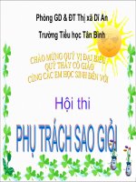 Hội thi PHỤ TRÁCH SAO GIỎI 