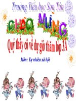 Vệ sinh cơ quan tuần hoàn TNXH lớp 3 số 7 