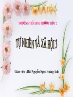 Hoạt động công nghiệp, thương mại TNXH lớp 3 số 6 
