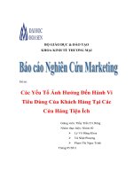 Tiểu luận Các yếu tố ảnh hưởng đến hành vi tiêu dùng của khách hàng tại các cửa hàng tiện ích