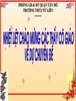 bài giảng tích hợp liên môn toán 7 tiết 12 luyện tập