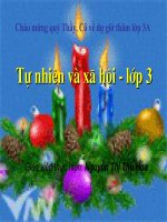 Không chơi các trò chơi nguy hiểm TNXH lớp 3 số 8 