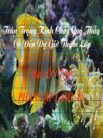 ôn tập phần làm văn 12 