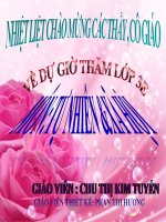 Họ nội, họ ngoại TNXH lớp 3 số 13 