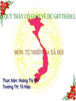 Cơ quan thần kinh TNXH lớp 3 số 9 