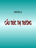 Bài Giảng Cấu Trúc Thị Trường