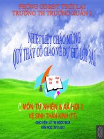 Vệ sinh thần kinh tiếp theo TNXH lớp 3 số 7 