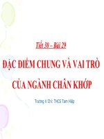 Bài giảng sinh học 7 thao giảng đặc điểm chung và vai trò của ngành chân khớp (11) 