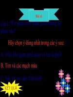 Hoạt động tuần hoàn TNXH lớp 3 số 3 