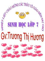 Bài giảng sinh học 7 thao giảng đặc điểm chung và vai trò của ngành chân khớp (6) 