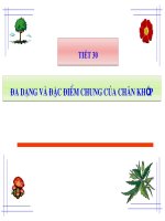 Bài giảng sinh học 7 thao giảng đặc điểm chung và vai trò của ngành chân khớp (1) 