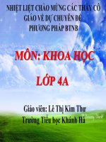 CHUYÊN đề  PHƯƠNG PHÁP bàn TAY nặn bột KHOA học lớp 4 