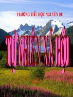 Nên thở như thế nào tự nhiên và xã hội lớp 3 số 6 