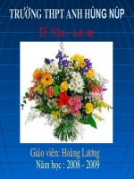 ôn tập phần văn học 