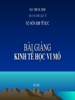 Bài Giảng Kinh Tế Học Vi Mô