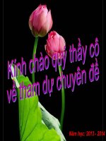 CHUYÊN đề áp DỤNG TINH THẦN mô HÌNH TRƯỜNG học mới ( VNEN ) TRONG dạy học 