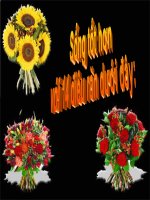 Sống tốt hơn với 14 điêu răn dưới đây 