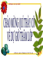 ĐẠI số 7 tỉ lệ THỨC 