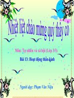 Hoạt động thần kinh TNXH lớp 3 số 8 