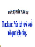 Thực hành phân tích và vẽ sơ đồ mối quan hệ họ hàng TNXH lớp 3 số 6 